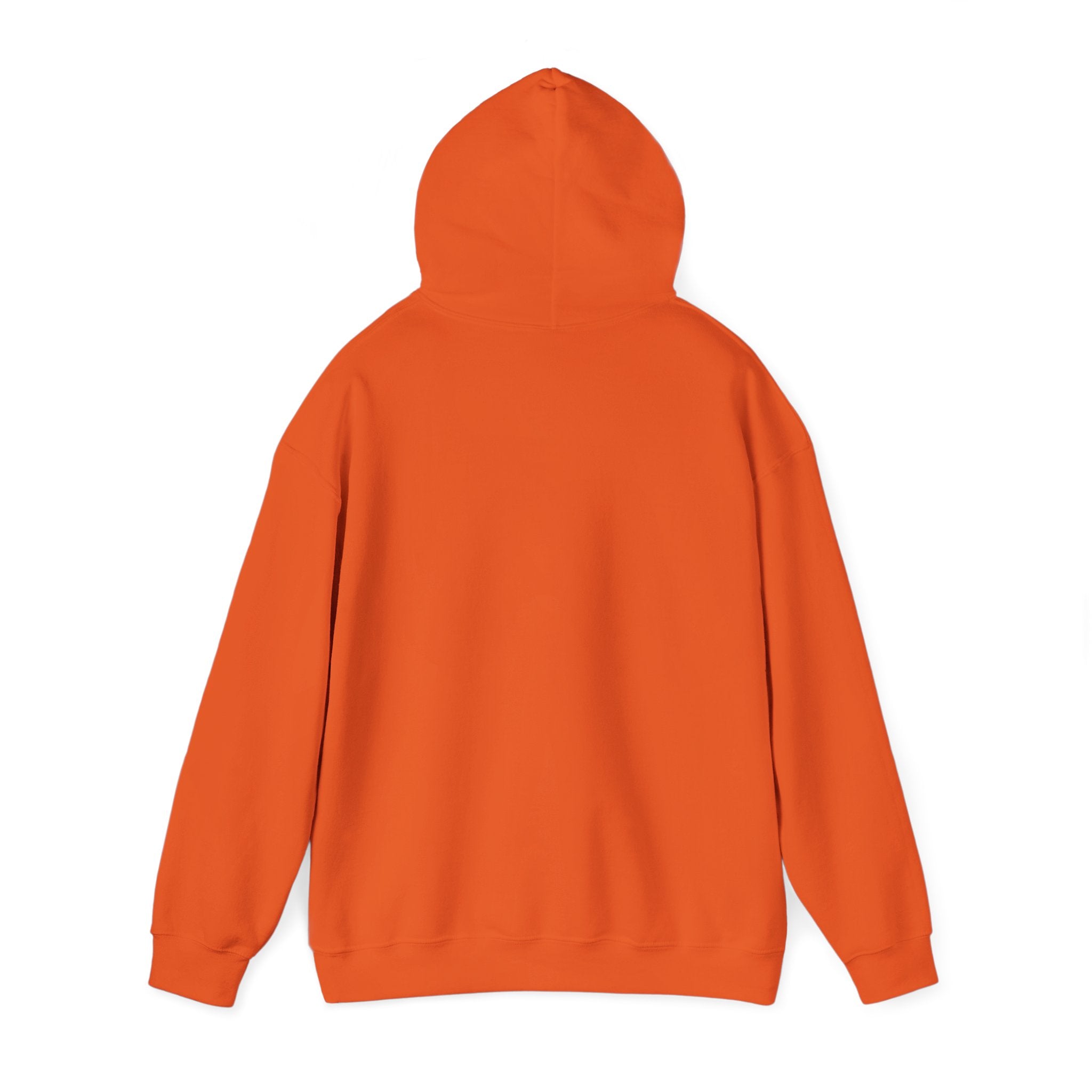 Alltid IFK Göteborg | Hoodie