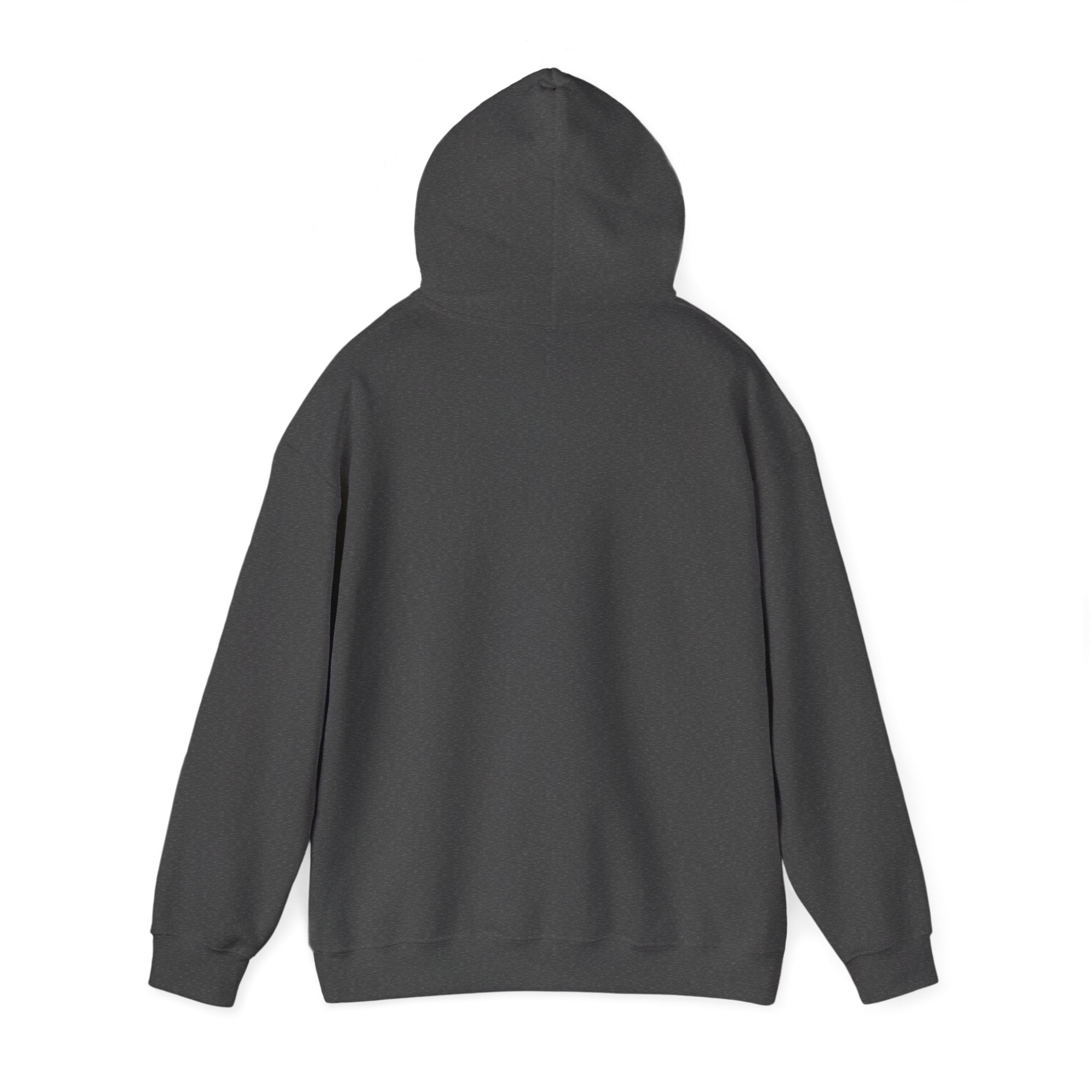 Alltid IFK Göteborg | Hoodie